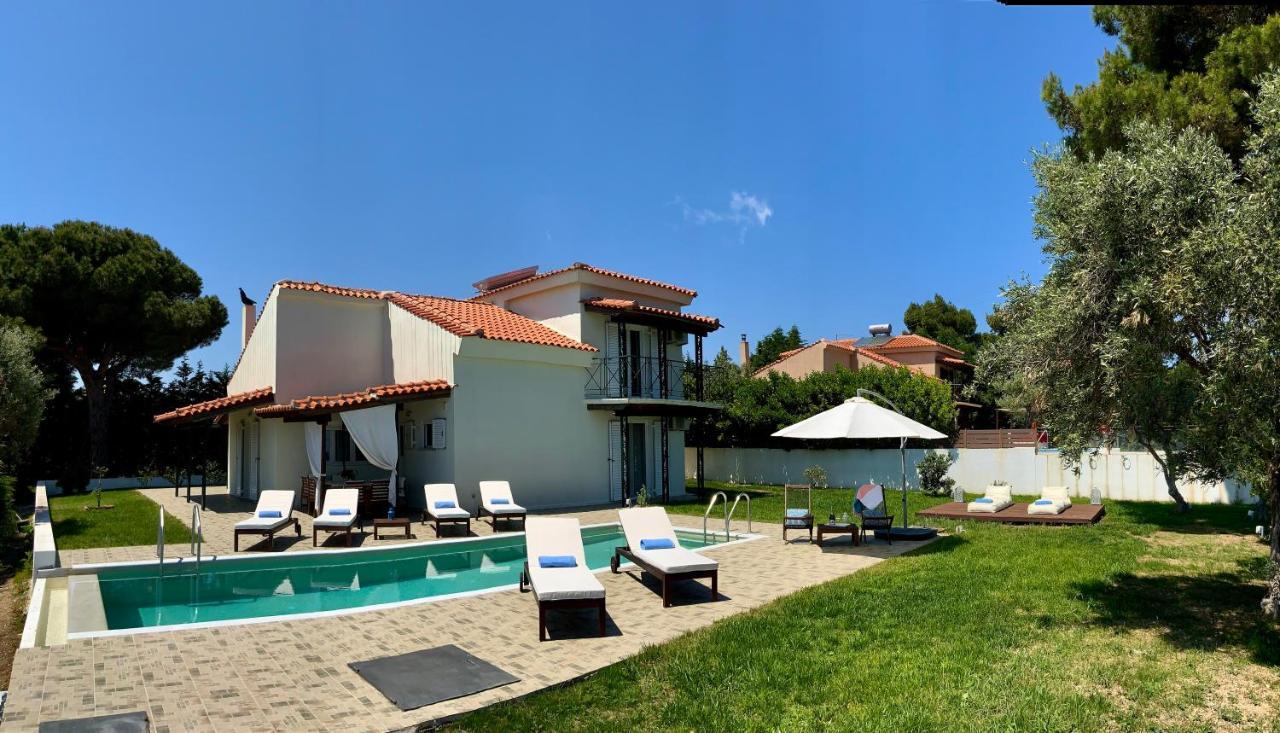 Villa Azure Katsaros  Zewnętrze zdjęcie